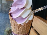 ݂̓̉w ÐX܂̓eʐ^2