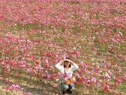 }bL[̓̉w }xCt@[̓eʐ^1