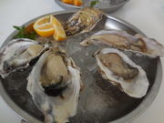 LOTTỸGCX V[ ICX^[o[ Ȃ΃p[NXX̓eʐ^1