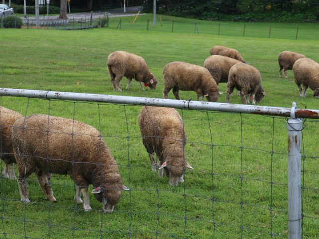 �r_�����ۂ�r���u�W�]��