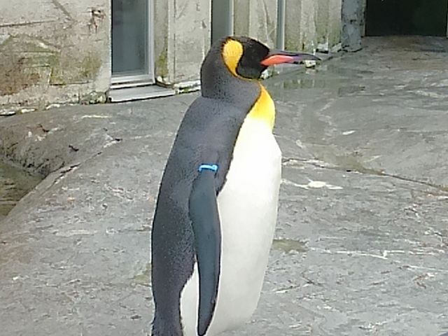 ���Ȃ��G�肽��
_���R������