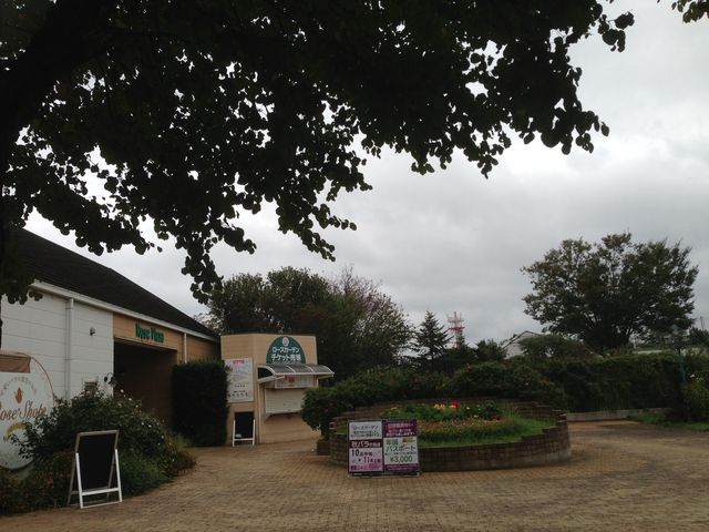 �����o����