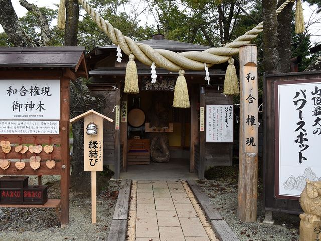 R̃p[X|bgłB_勬[vEGC