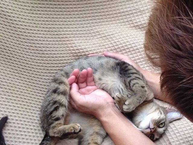 �x�m�T�t�@���p�[�N