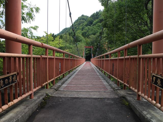 ̒݋_̏i|\EJCR^璹Pj