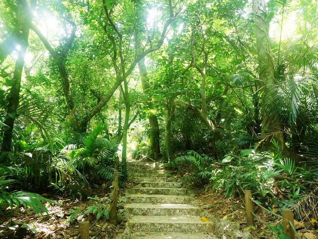 �V����_�Č��̃��G���}���V�Q��