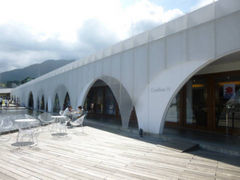 悿񂳂̃ANACOjXЉւ̓eʐ^1