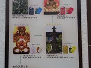 T̓@@@@ؓ@R@{̓eʐ^2