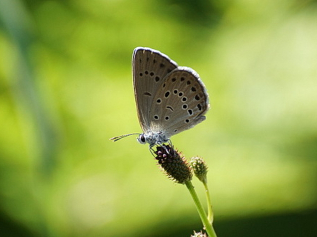 masaoB̂ȂRʊق̓eʐ^2