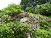 �͂ނ���̕D�d��Ղ̓��e�ʐ^2