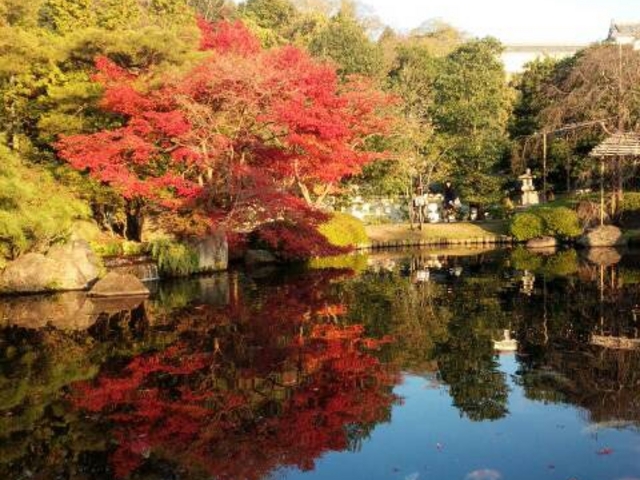 �D�É�_�D�É�