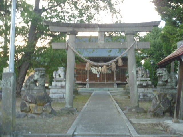 gV[̋`_Ёi쑽sj̓eʐ^1