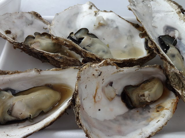 �Ă���_���������Ȏs��