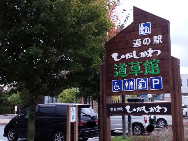 ÂŁAYȓ̉włB_̉w Ђ퓹