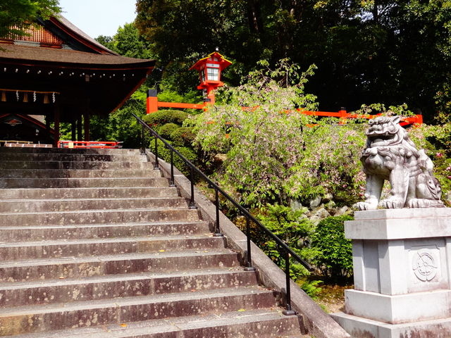 ���M�_��_���M�_��