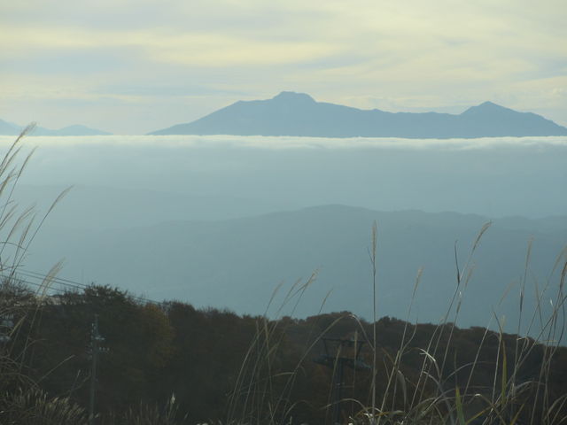 �_�C�������܂����B�����A�������Ղ߂܂��B_�T���Z�b�g�|�C���g