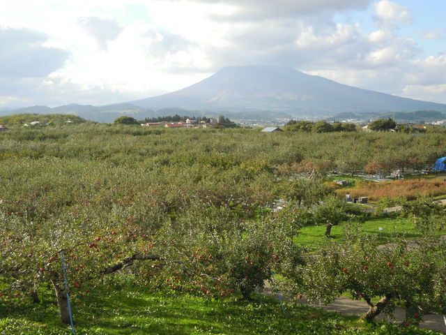 񂲌W]䂩牀E؎R]_OOs񂲌