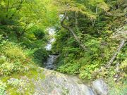 傤̃|bgz[i̐ݏj̓eʐ^1