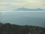 ˉԎq̃TZbg|Cg̓eʐ^1