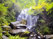 Ƃ񂳂񂭂񂳂̔򗴂̑̓eʐ^2