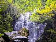 Ƃ񂳂񂭂񂳂̔򗴂̑̓eʐ^3