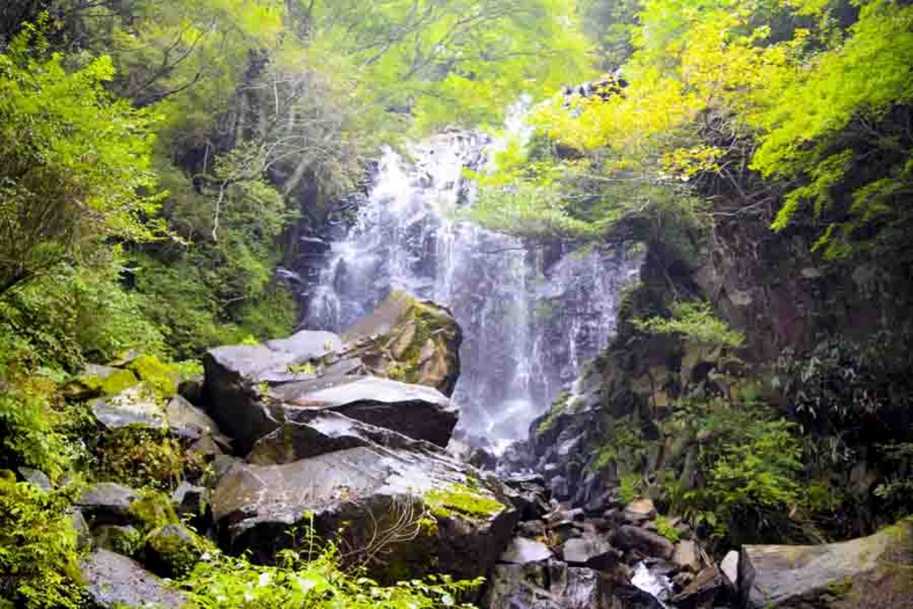 飛龍の滝