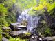 けとくんさんくんさんの飛龍の滝（神奈川県箱根町）の投稿写真2