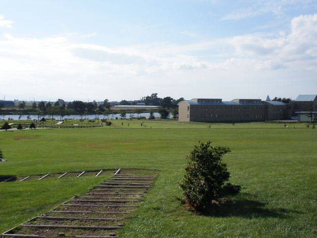 VÌ_񂵂̂򂽂Ղ̓