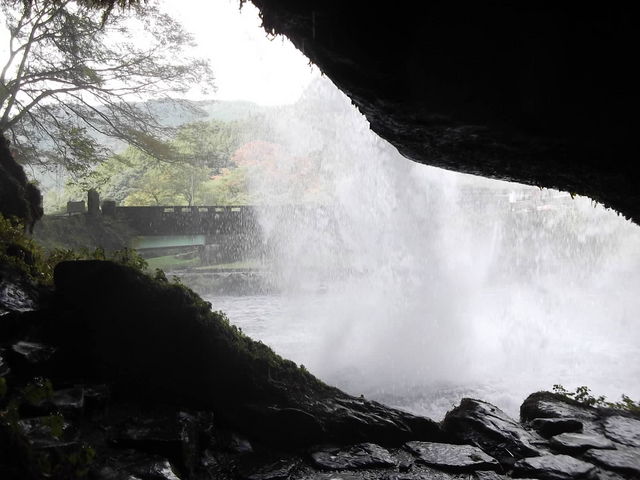 �����̑�_�����̑�