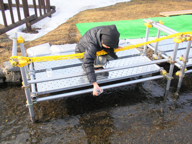 �����ɂȂ��ċA���Ă��Ă��ꂽ�炢���ˁB_�T�P�̂ӂ邳�Ɛ�ΐ�����