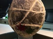 䂩񂳂̉ӂ邳Ɗق̓eʐ^1