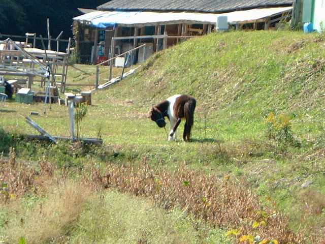 Ԃ񂳂̂ނȂnNu̓eʐ^2