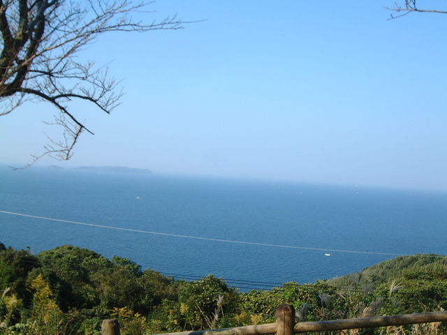 �Ԃ���񂳂�̑��R���R�����̓��e�ʐ^1