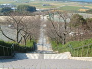 Ԃ񂳂̂񂸂̗^̓eʐ^1