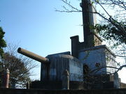 �Ԃ���񂳂�̑��R���R�����̓��e�ʐ^4