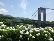 ̂񂿂񂳂̌`ː̓eʐ^1