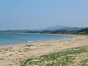 �Ԃ���񂳂�̔��Εl�C������̓��e�ʐ^1