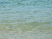 Ԃ񂳂̂C݂̓eʐ^3