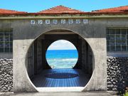 �n�j�[�Z�u������̃_���k�l�̓��e�ʐ^1