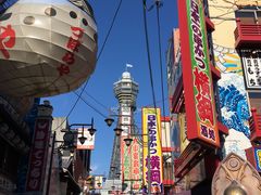 �V���E�̎ʐ^1