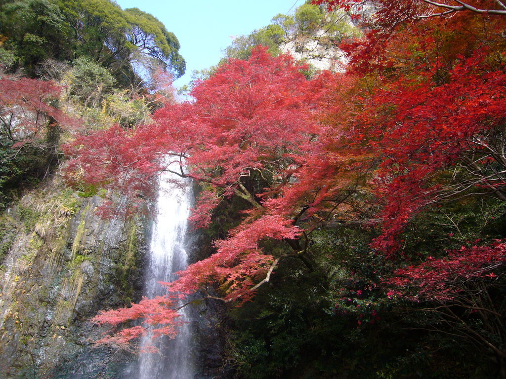 この秋カップルで行きたい 関西 デートにおすすめの紅葉スポット 観光地28選 じゃらんニュース