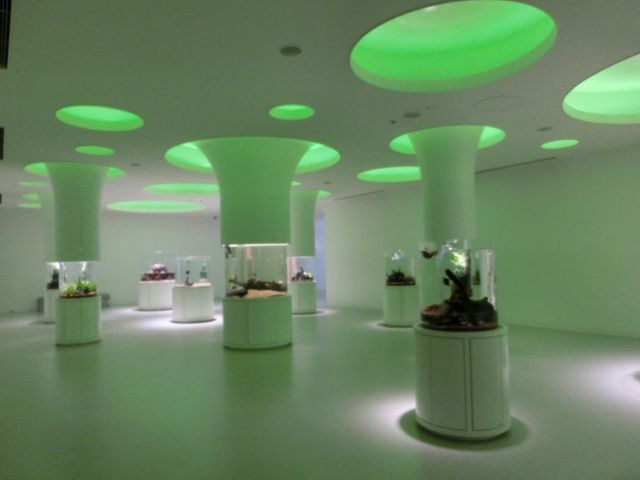 NIFREL�i�j�t�����j