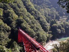 oW̗RAy[gyxRzւ̓eʐ^1