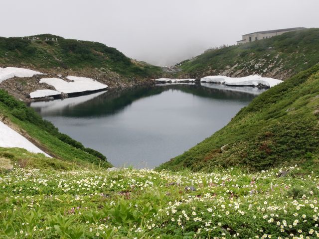 �������̉ԉ�_�݂��肪�r