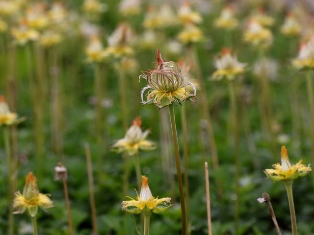 �`���O���}_�݂��肪�r