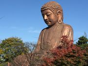 ���}�}������ڊy���̑啧�̓��e�ʐ^1