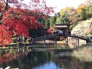 ȂבY̌ՌkRiێ̓eʐ^2