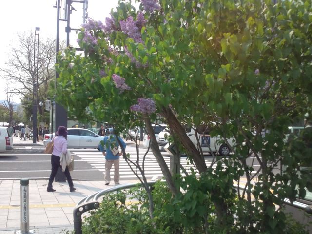 ���C���b�N���I_��ʌ����̃��C���b�N