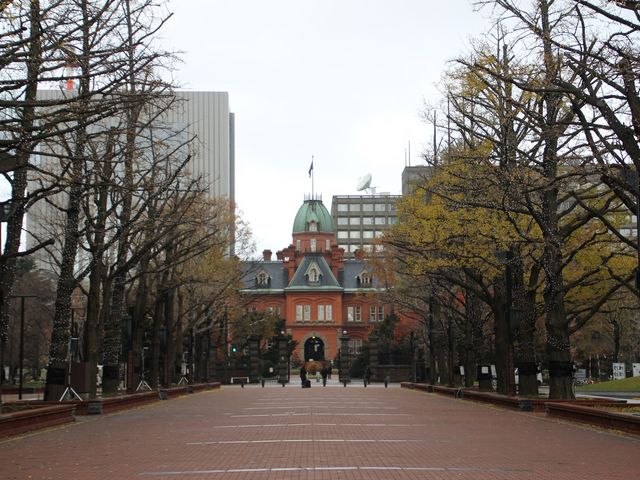 ���ʉ��i_�k�C�������{����(�Ԃ�񂪒���)