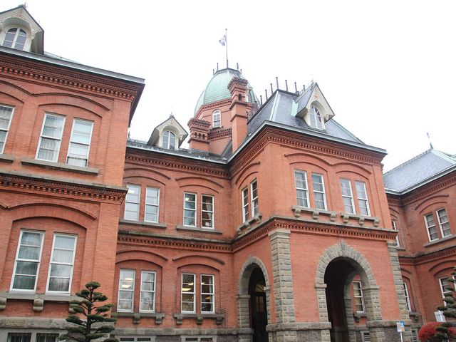 ���ʎ΂߂���_�k�C�������{����(�Ԃ�񂪒���)